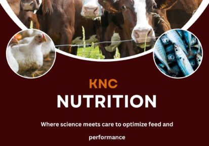 feed additives in animal nutrition