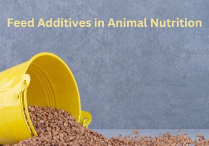 feed additives in animal nutrition